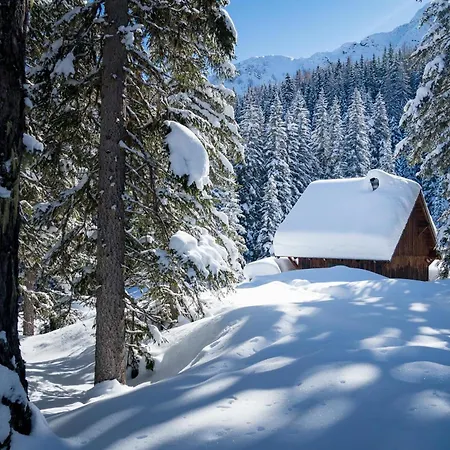 Johannesbad Palace 4* Bad Hofgastein